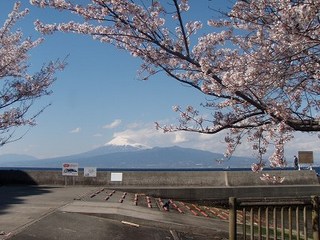 P4050032.jpg