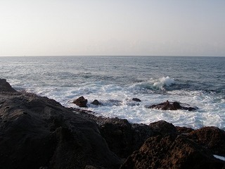 P5240004.jpg